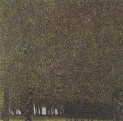 Gustav Klimt The Park (mk20) Spain oil painting artist